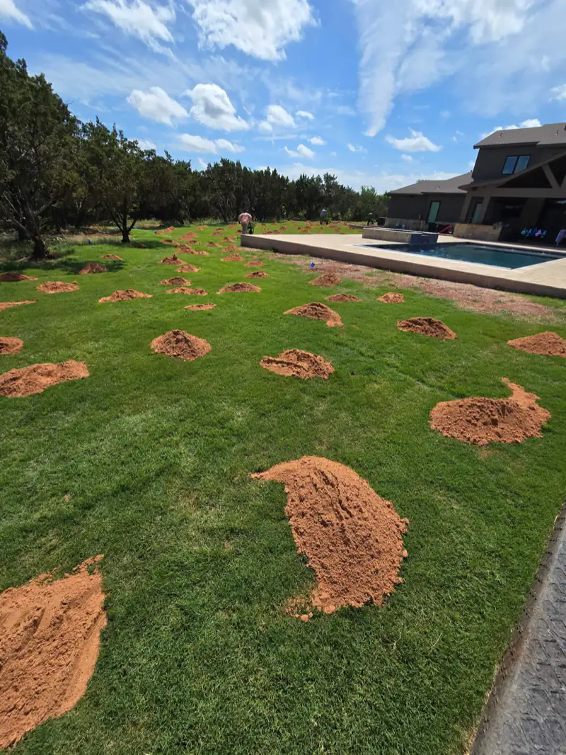 Piles of topdressing soil spread across a lawn for yard leveling